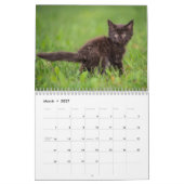 Gepersonaliseerde Grappige Katten Pooping Kalender (Mar 2027)