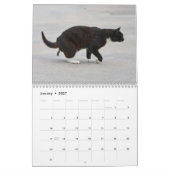 Gepersonaliseerde Grappige Katten Pooping Kalender (Jan 2027)