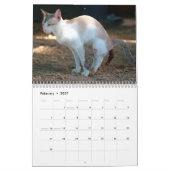Gepersonaliseerde Grappige Katten Pooping Kalender (Feb 2027)