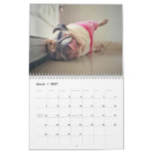 Gepersonaliseerde grappige luie honden 2025 kalender (Mar 2027)