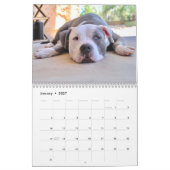 Gepersonaliseerde grappige luie honden 2025 kalender (Jan 2027)
