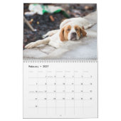 Gepersonaliseerde grappige luie honden 2025 kalender (Feb 2027)