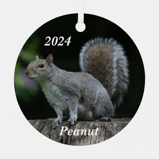 Gepersonaliseerde grijze eekhoorn metalen ornament (Voorkant)