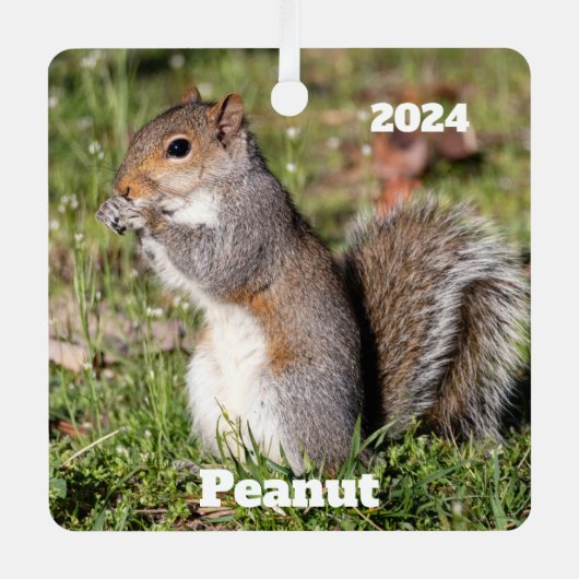 Gepersonaliseerde grijze eekhoorn metalen ornament (Voorkant)