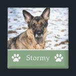 Gepersonaliseerde Groene Pet Foto Magnet<br><div class="desc">Gepersonaliseerde Groene Pet Foto Magnet.</div>