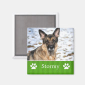 Gepersonaliseerde groene strepen Pet Photo Magnet (Voorkant / Achterkant)