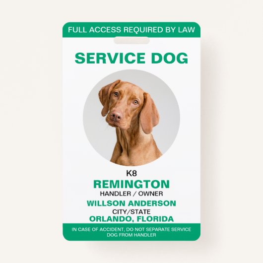 Gepersonaliseerde groene Witte Dienst Hond Foto-ID Badge (Voorkant)