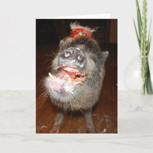 Gepersonaliseerde Happy Birthday Mini Pig Kaart