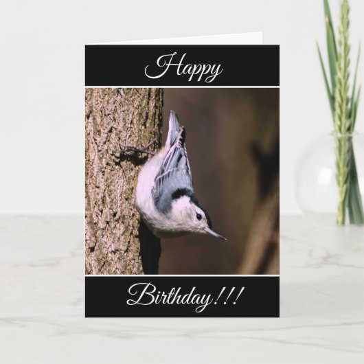 Gepersonaliseerde Happy Birthday Nuthatch Kaart (Voorkant)