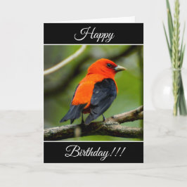 Gepersonaliseerde Happy Birthday Scarlet Tanager K Kaart