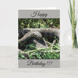 Gepersonaliseerde Happy Birthday Snake Kaart