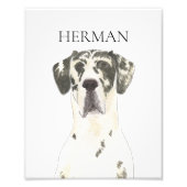 Gepersonaliseerde Harlequin Grote Deense kunst Foto Afdruk (Voorkant)