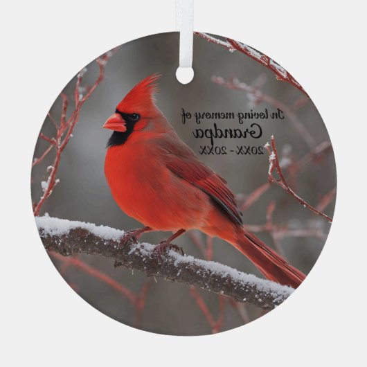 Gepersonaliseerde herdenking Kerstmis Glas Ornament (Achterkant)