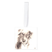 Gepersonaliseerde herdenkingsversiering van huisdi kubus ornament (Voorkant)