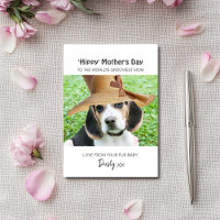 Gepersonaliseerde Hippy Moederdag Dog Mom