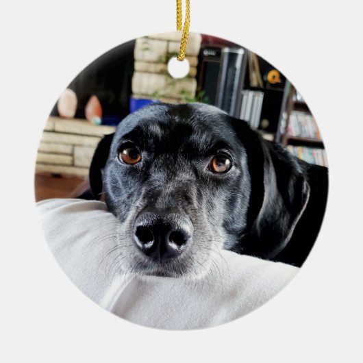 Gepersonaliseerde hond foto Kerstmis Keramisch Ornament (Voorkant)