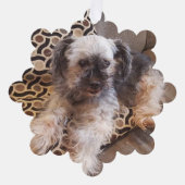 Gepersonaliseerde hond foto Kerstmis Ornament Kaart (Voorkant)