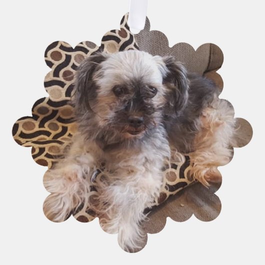 Gepersonaliseerde hond foto Kerstmis Ornament Kaart (Voorkant)