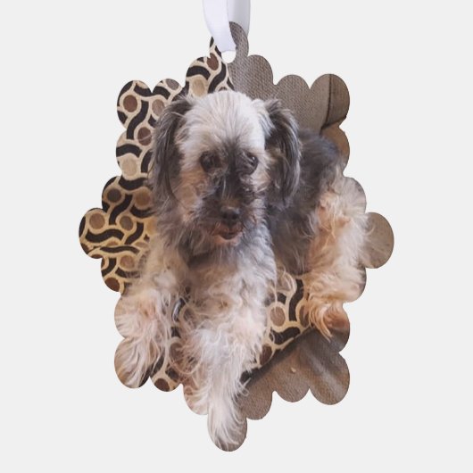 Gepersonaliseerde hond foto Kerstmis Ornament Kaart (Links)