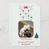 Gepersonaliseerde Hond Kerstkaart (Voorkant / Achterkant)