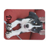 Gepersonaliseerde hond | Pet Foto Magneet (Horizontaal)