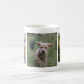 Gepersonaliseerde hondenfoto - beste hond ooit koffiemok (Center)