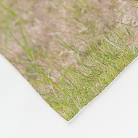 Gepersonaliseerde huisdier deken met behulp van hu (Hoek)