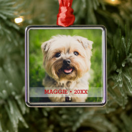 Gepersonaliseerde huisdier foto Schattige speciale Metalen Ornament