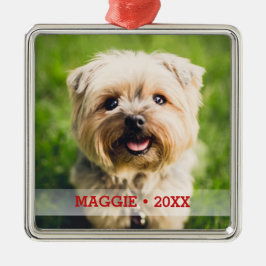 Gepersonaliseerde huisdier foto Schattige speciale Metalen Ornament