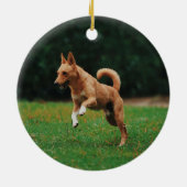 Gepersonaliseerde huisdier hond kat memorial custo keramisch ornament (Achterkant)