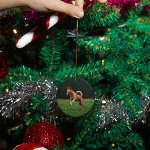 Gepersonaliseerde huisdier hond kat memorial custo