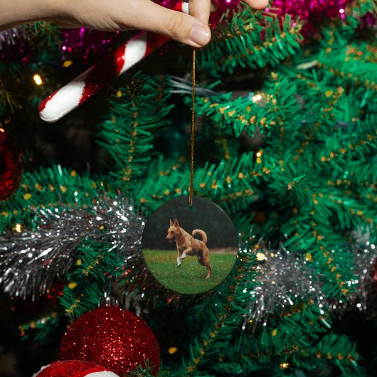 Gepersonaliseerde huisdier hond kat memorial custo keramisch ornament