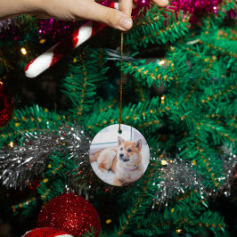 Gepersonaliseerde huisdier hond kat memorial custo keramisch ornament