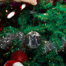 Gepersonaliseerde huisdier hond kat memorial custo