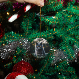 Gepersonaliseerde huisdier hond kat memorial custo keramisch ornament