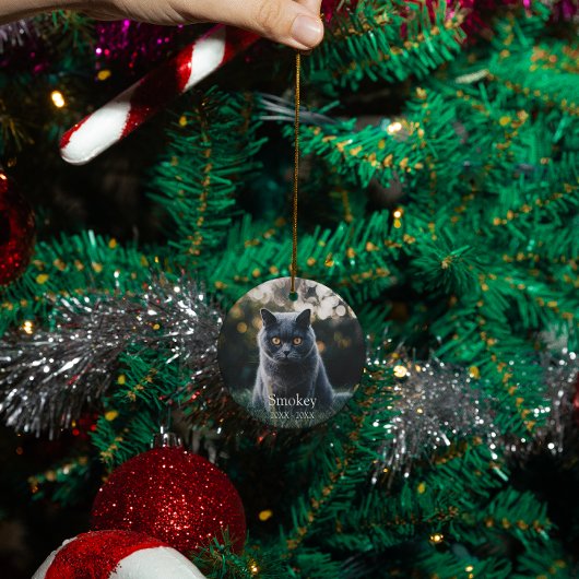 Gepersonaliseerde huisdier hond kat memorial custo keramisch ornament