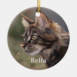 Gepersonaliseerde huisdier kat foto Kerstmis Keramisch Ornament