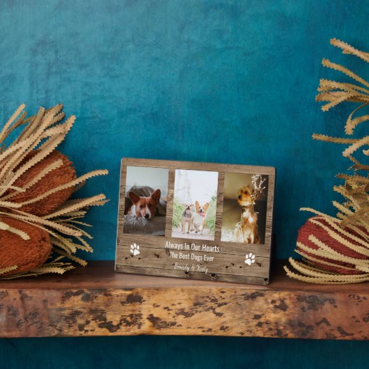 Gepersonaliseerde huisdierherdenking huisdierverli fotoplaat (Zijkant)