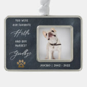 Gepersonaliseerde huisdierherdenking huisdierverli verzilverd omlijst ornament (Voorkant)