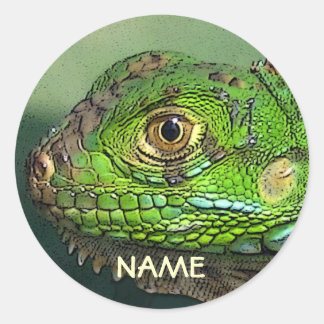 Gepersonaliseerde Iguana Sticker