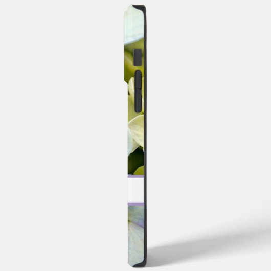 Gepersonaliseerde iPhone 14 Pro Max hoesje (Achterkant / Links)