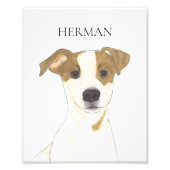 Gepersonaliseerde Jack Russell Terrier Art Foto Afdruk (Voorkant)