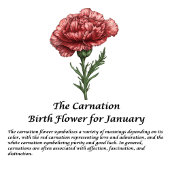 Gepersonaliseerde januari Geboorte Bloem Anjer 16  Thermosbeker