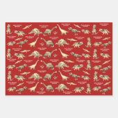 Gepersonaliseerde Jongens Naam Schattigee Kerst Di Inpakpapier Vel (Voorkant 2)