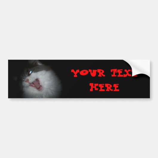 Gepersonaliseerde kat die stroomt bumpersticker (Voorkant)