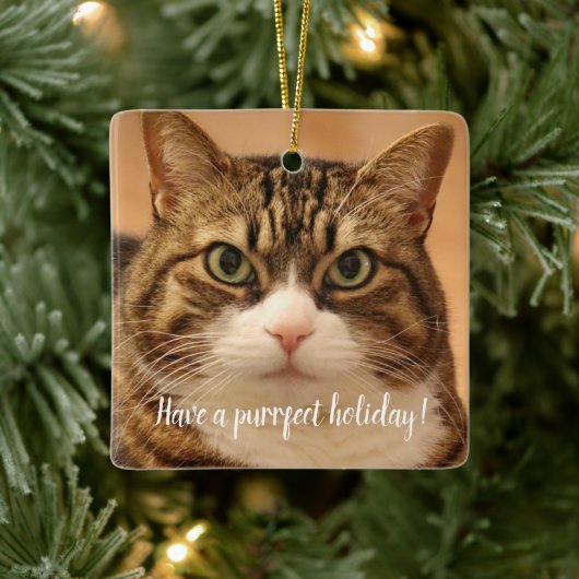 Gepersonaliseerde Kat Pet Memorial Vakantie Keramisch Ornament (Boom)