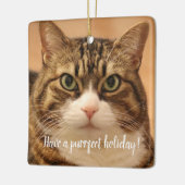 Gepersonaliseerde Kat Pet Memorial Vakantie Keramisch Ornament (Links)