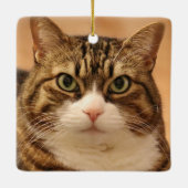 Gepersonaliseerde Kat Pet Memorial Vakantie Keramisch Ornament (Achterkant)