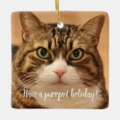Gepersonaliseerde Kat Pet Memorial Vakantie Keramisch Ornament (Voorkant)