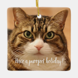 Gepersonaliseerde Kat Pet Memorial Vakantie Keramisch Ornament